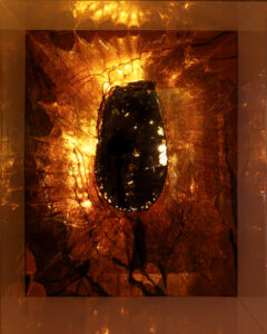 WITH THE DESERT IN MY EYES III front view 2021 Ink skin 3d pen anti bird spikes acrylic glass mirror wood fabric tape PRICE 8500 EUROS WITH THE DESERT IN MY EYES III front view 2021 Ink skin 3d pen anti bird spikes acrylic glass mirror wood fabric tape PRICE 8500 EUROS